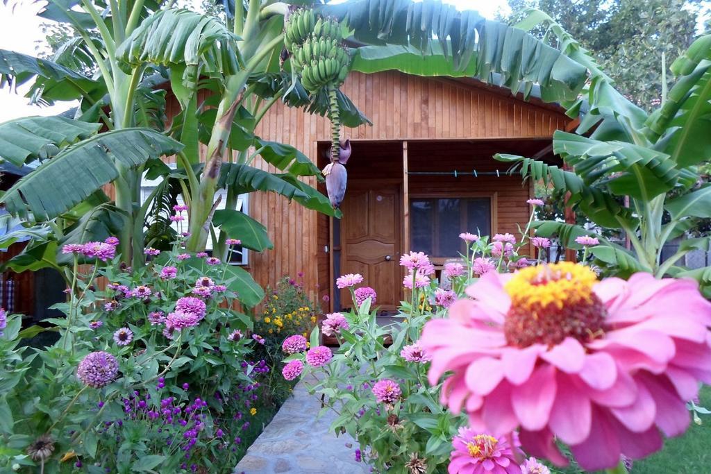 Estelar Bungalow Çıralı Exterior foto