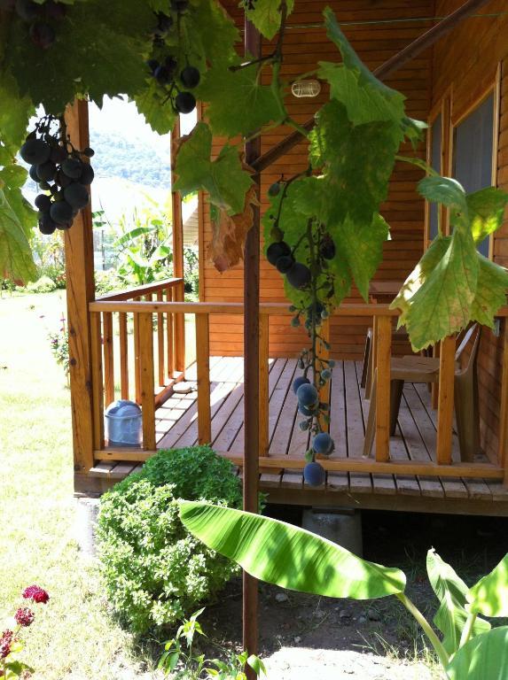 Estelar Bungalow Çıralı Habitación foto